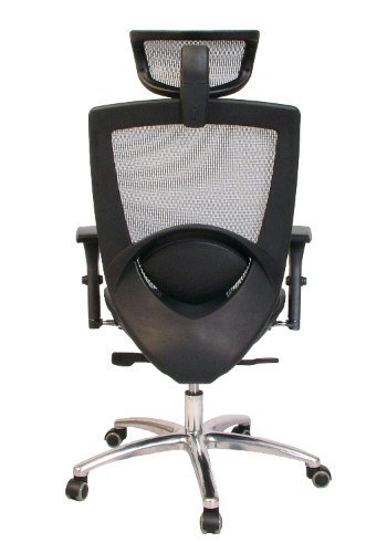超美感人體工學網椅/電腦椅(超強力支撐大腰靠)AAC166